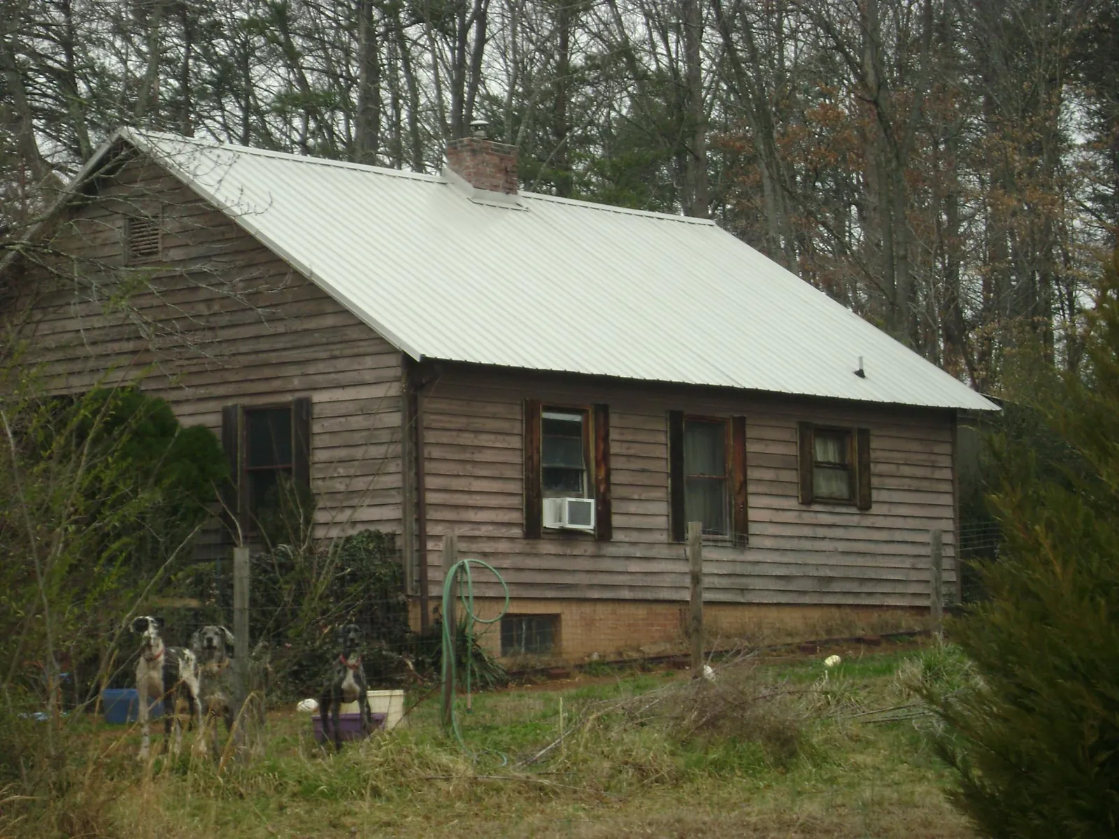 White metal roof on an old wood sided farmhouse, from a Asphalt Shingle Roof Repair job in Iron City